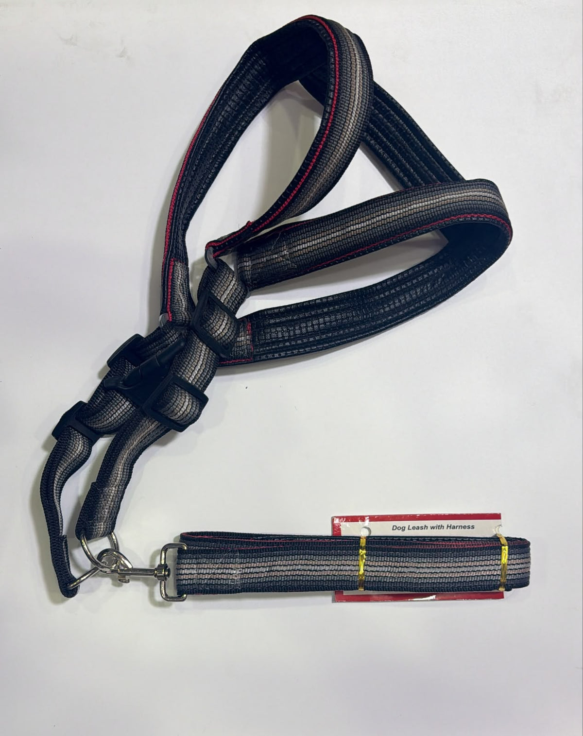 KINGS - Dog leash with harness