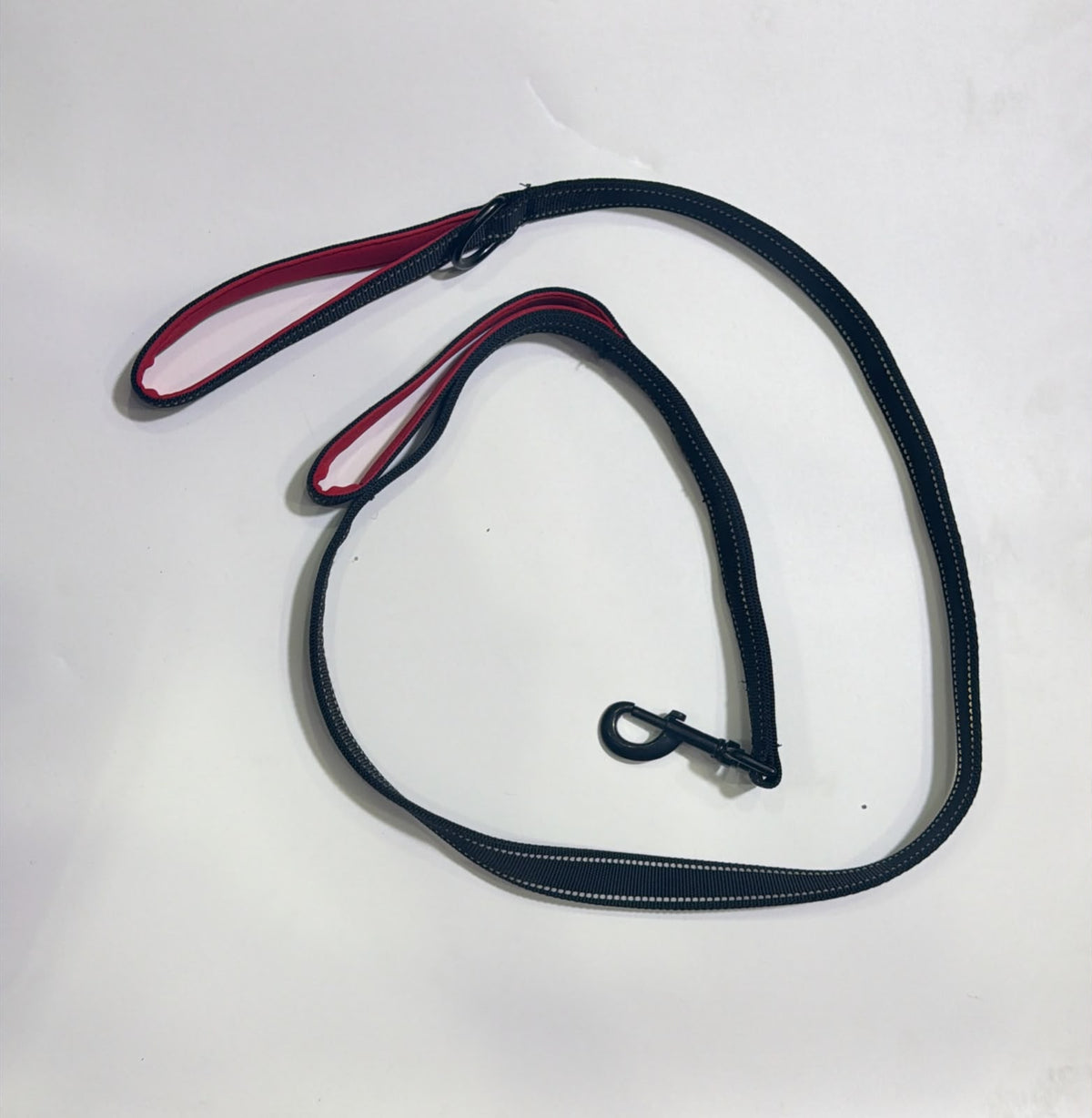 KINGS dog leash