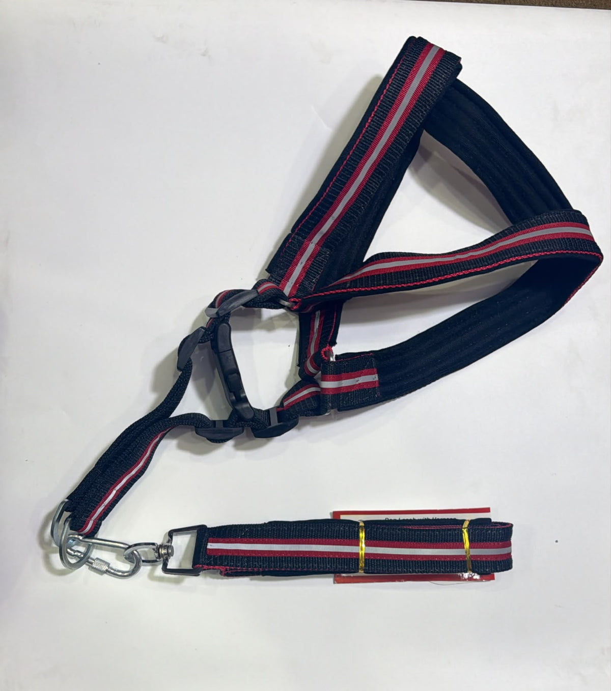 KINGS - Dog leash with harness