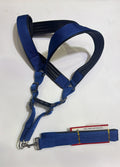 KINGS - Dog leash with harness