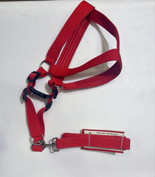 KINGS - Dog leash with harness